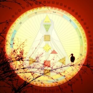 Análise de Retorno Solar de Desenho Humano